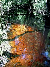 that a blackwater river is a river with excess tannins in the water?