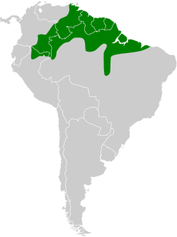 Distribución geográfica del cimerillo de casquete.