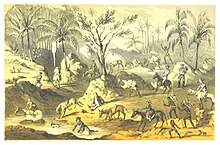 Group of people making their way through the jungle on horseback. One man has fallen in the water, another is pulling a dog on a leash