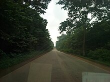 Mabira Forest area Along Kampala-Jinja Highway in Lugazi District