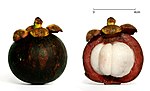 山竹 Mangosteen