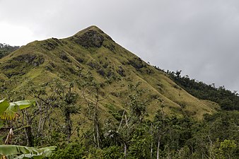 Mountain in Jayuya