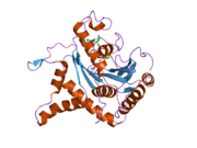 2bc9: Crystal-structure of the N-terminal large GTPase Domain of human Guanylate Binding protein 1 (hGBP1) in complex with non-hydrolysable GTP analogue GppNHp