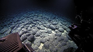 Pillow balls on Mozart Seamount