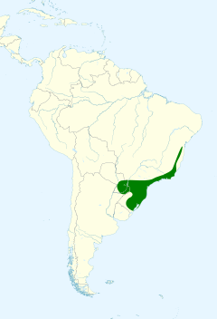 Distribuição do cuiú-cuiú