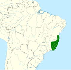 Distribuição da tiriba-de-orelha-branca no Brasil