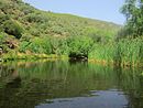 Riberas del río Manzanas y afluentes