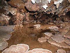 Shelfstone growing on the edge of a small cave pool