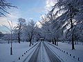 driveway through the park after snowfall