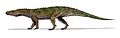 Ticinosuchus