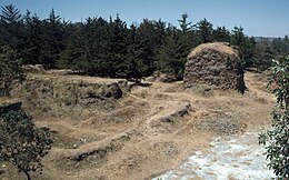 Ruines recouvertes de végétations devant une foret de pins. Une tour délabrée se trouve à droite à proximité d'un mur d'enceinte.