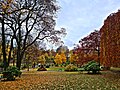 Vår Frelsers gravlund in the autumn