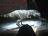 Dinosaur from Walking with Dinosaurs – The Live Experience