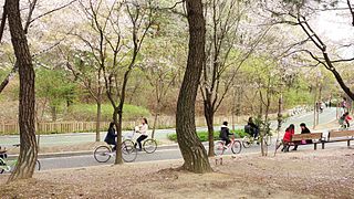 Yeouido Park bicyclists