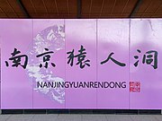 S6号线南京猿人洞站大字壁，由宇文家林所题