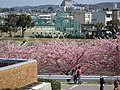 2016年5月24日 (火) 00:34時点における版のサムネイル