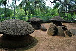 Ariyannur Umbrellas