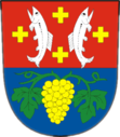 Wappen von Bílá Voda