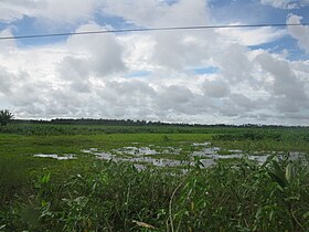 Baixada Maranhense no período chuvoso.