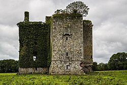 Kilmurry Castle, north of Cordal village, comprises a 16th century tower house and 17th century fortified house addition