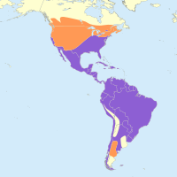 Distribución: