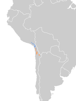 Distribución geográfica del conirrostro de tamarugal.