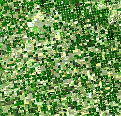 Circular crop fields characteristic of center pivot irrigation
