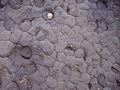 rock formation (mudstone) on Lyme Regis East Beach