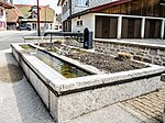 Fontaine-abreuvoir de Malbuisson