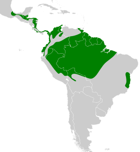 Distribución geográfica del trepatroncos picocuña.