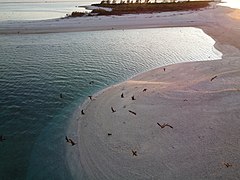 Flora, Fauna and landscapes from The Thirteen Islands of St. Brandon