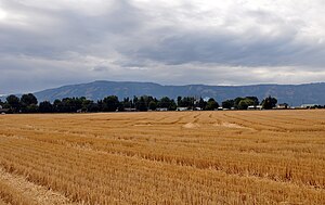 Fields near Imbler