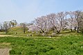 2019年4月8日 (月) 13:18時点における版のサムネイル