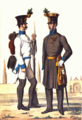 Gemeiner and officer (1809-1835)