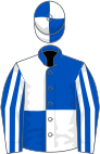 Royal Blue and White (quartered), striped sleeves