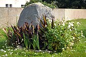 Menhir de la Pierre Pointue