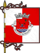 Bandeira de Penafiel