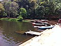 Boats on the lake