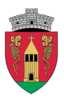 Coat of arms of Păuca