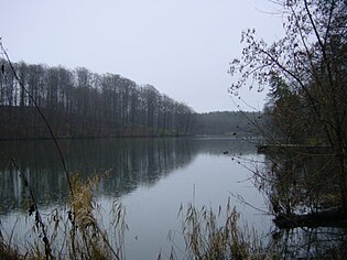 Der Rosensee