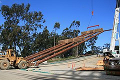 Falsework erection: A section is lifted to a vertical position with the assistance of two forklift operators.