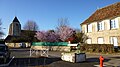 Le puits devant la mairie, et l'église Saint-Loup