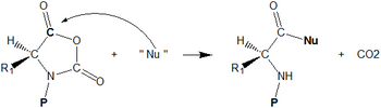 Synthèse Peptidique