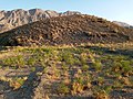 نمایی از تپه پشت پشته