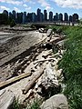 Downtown Vancouver from Stanley Park at low tide