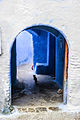 Chaton se promenant dans une ruelle de Chefchaouen