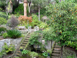 The Alameda Gibraltar Botanic Gardens
