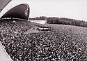 An Anti-Soviet rally in Vingis Park of about 250,000 people in 1988. The Columns of the Gediminids are hanging above the stage.