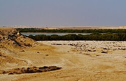 Far view of Ras Matbakh from Al Khor Island