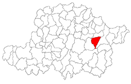 Location in Arad County